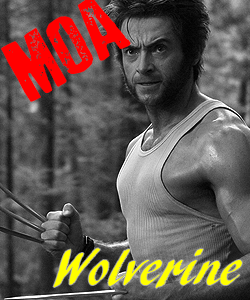 MoA Wolverine.png